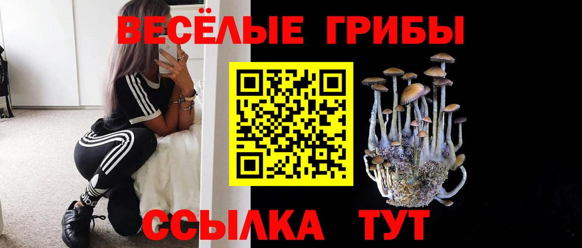 Галлюциногенные грибы мухоморы Аксай