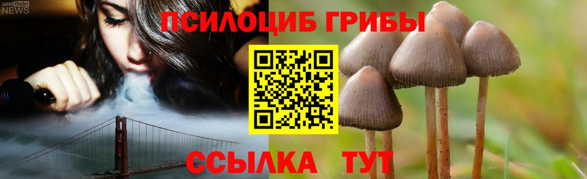 Галлюциногенные грибы Cubensis  Вход с VPN  Галлюциногенные грибы Cubensis  Аксай 